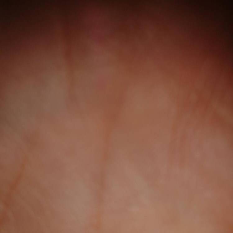 Foto de perfil de Albert