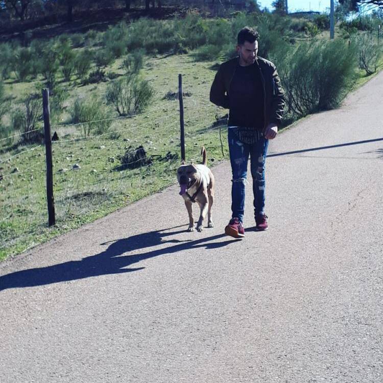Foto de perfil de David romero