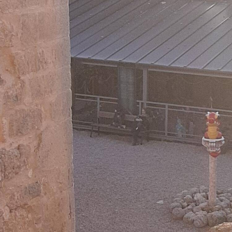 Foto de perfil de Quela