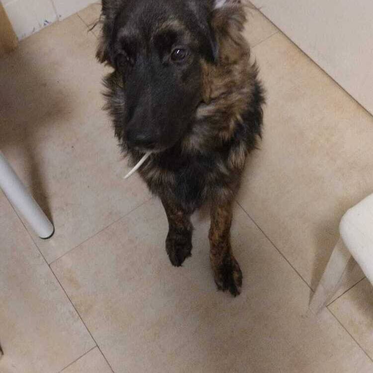 Foto de perfil de David