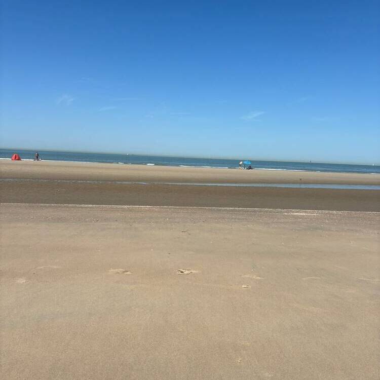 Foto de perfil de Ana