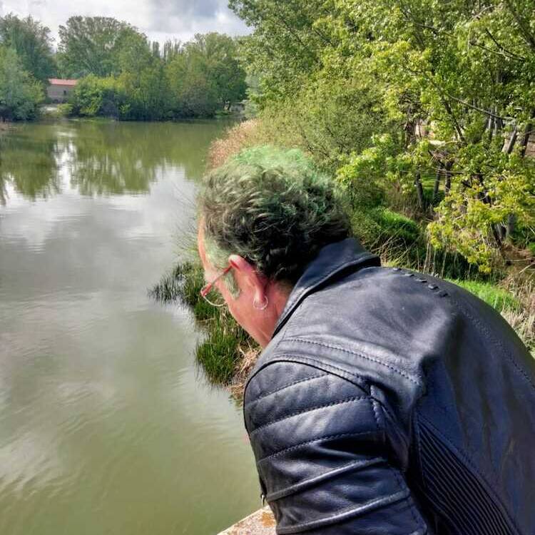 Foto de perfil de MIguel