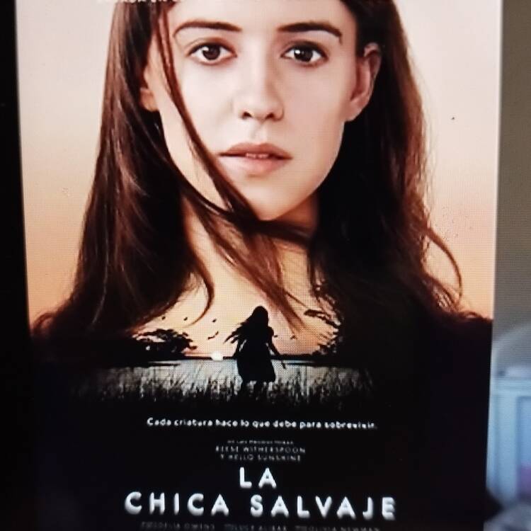 Foto de perfil de Feli