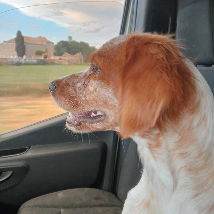Foto de perfil de Bikendi
