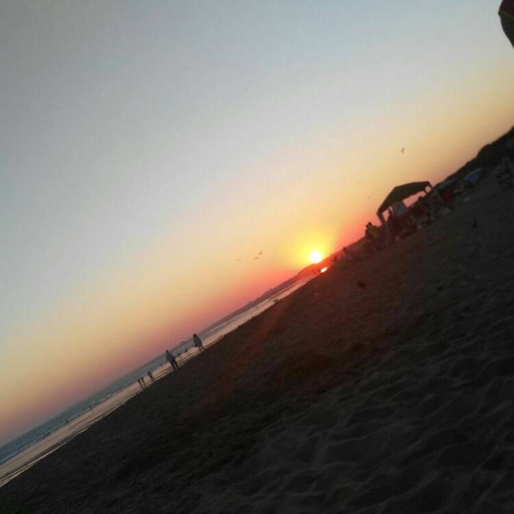 Foto de perfil de Sariola