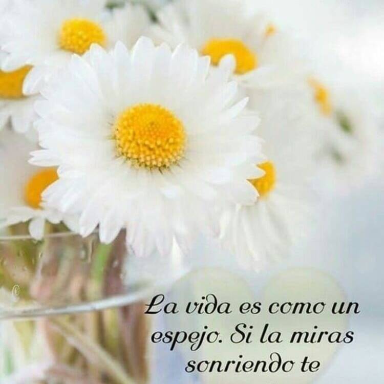 Foto de perfil de Pilar