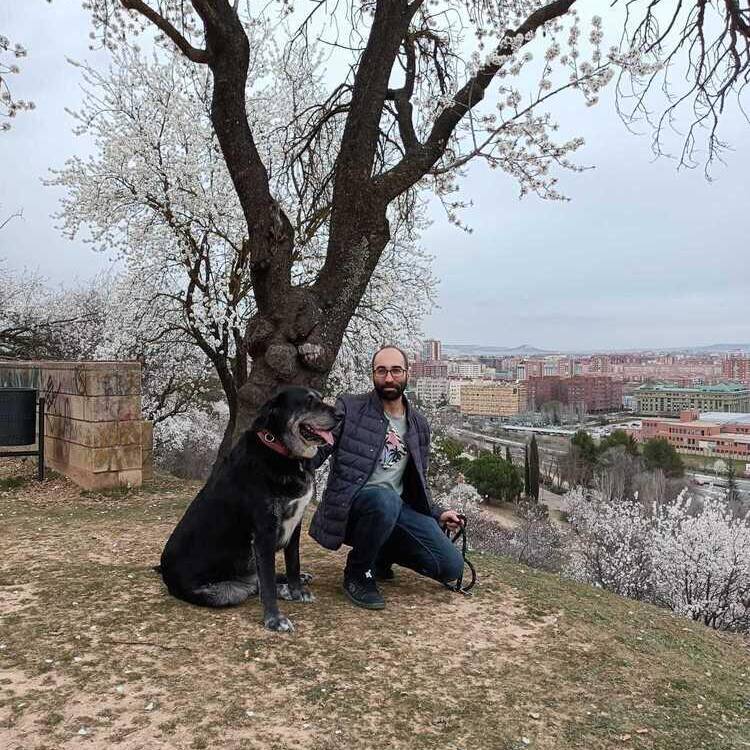 Foto de perfil de daniel