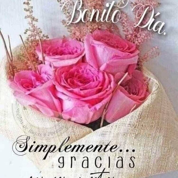 Foto de perfil de María Luz