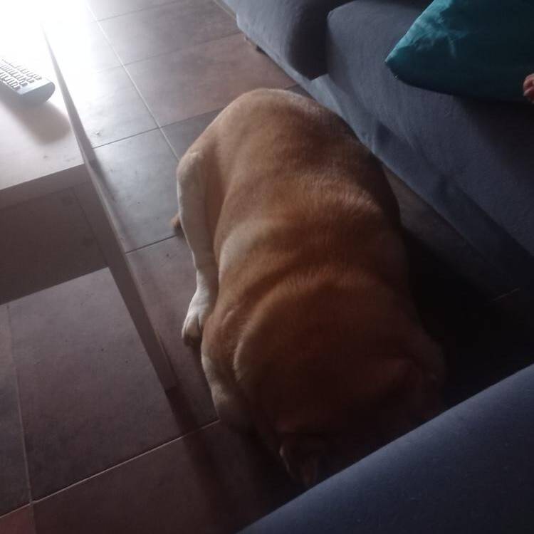 Foto de perfil de Alberto