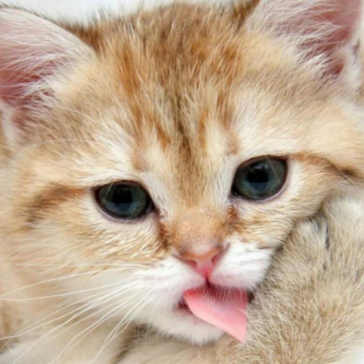 Foto de perfil de Eduardo