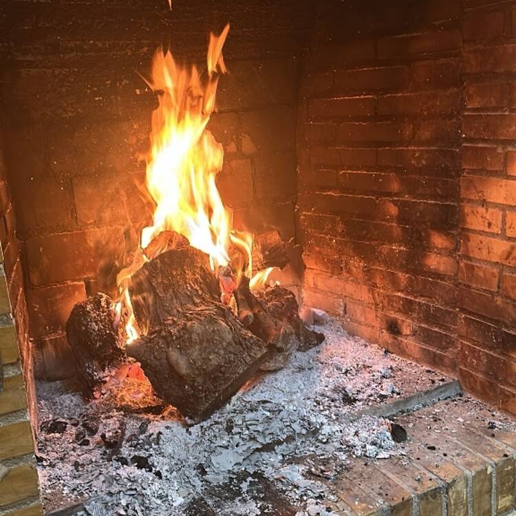 Foto de perfil de José Luis