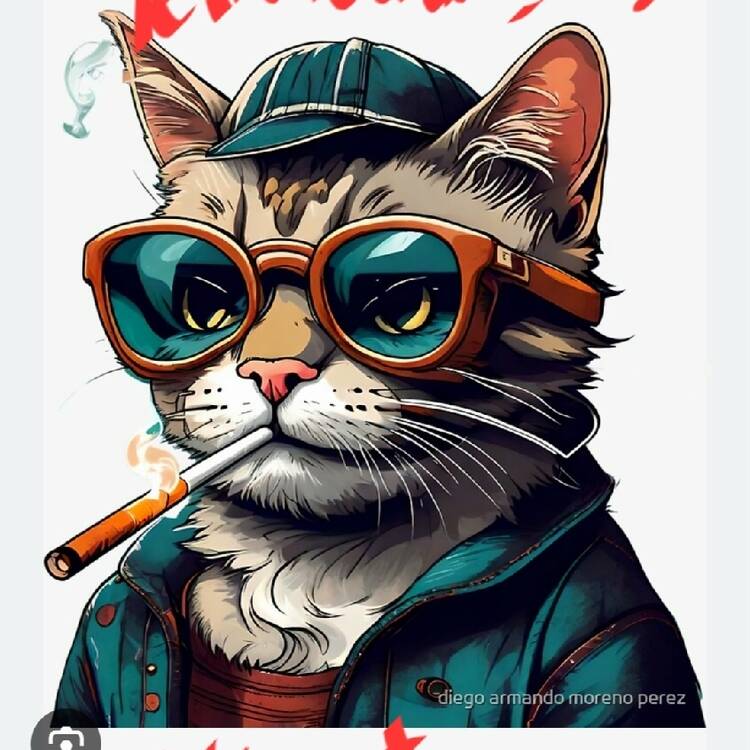 Foto de perfil de Aver Media