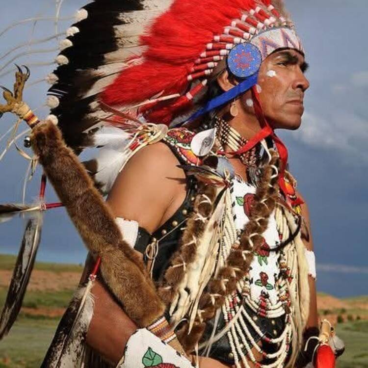 Foto de perfil de Pedro