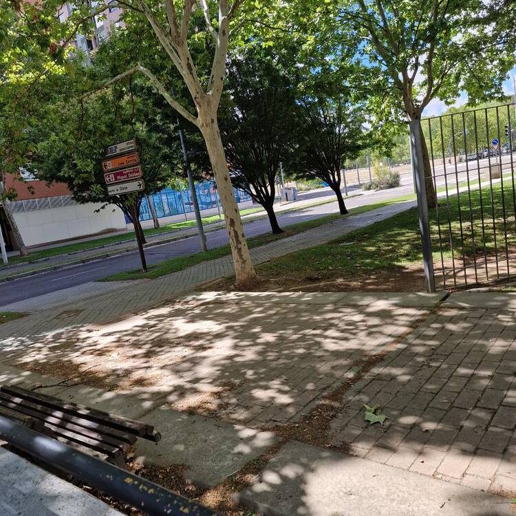 Foto de perfil de Pilar