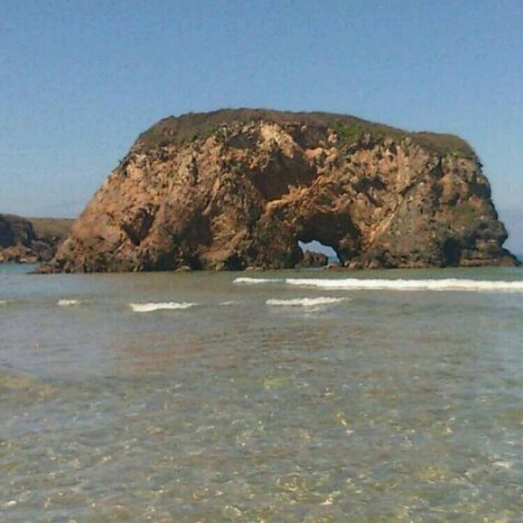 Foto de perfil de Charo