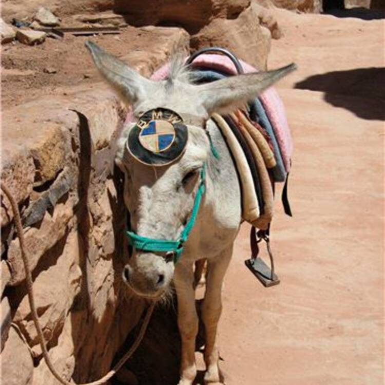 Foto de perfil de oscarmontaña