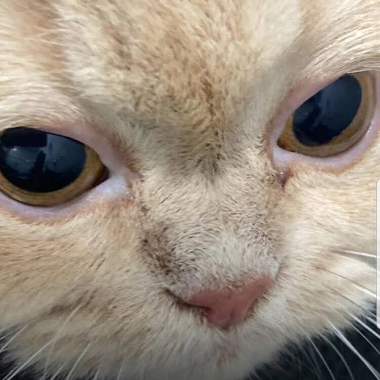 Foto de perfil de MIGUEL