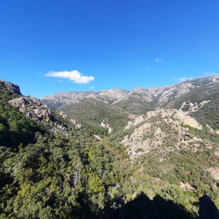 Foto de perfil de nerea
