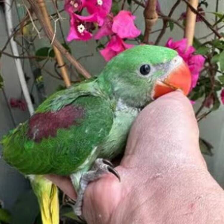 Foto de perfil de Diego