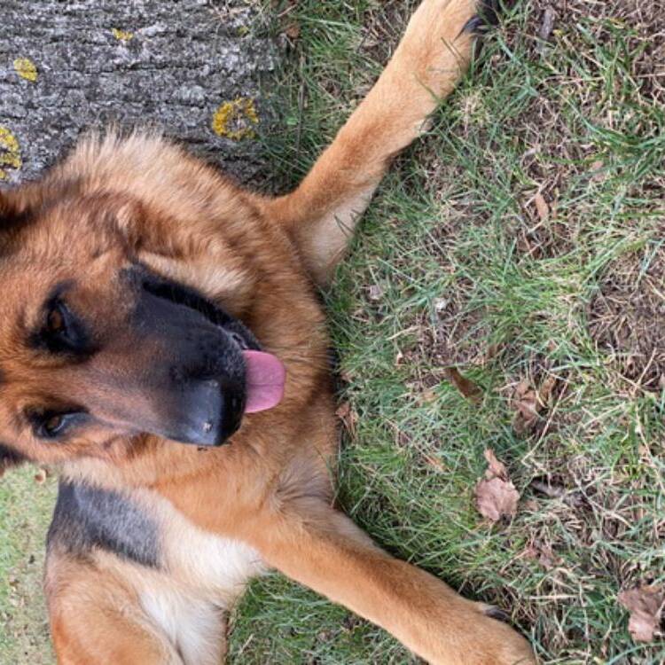 Foto de perfil de Sergio