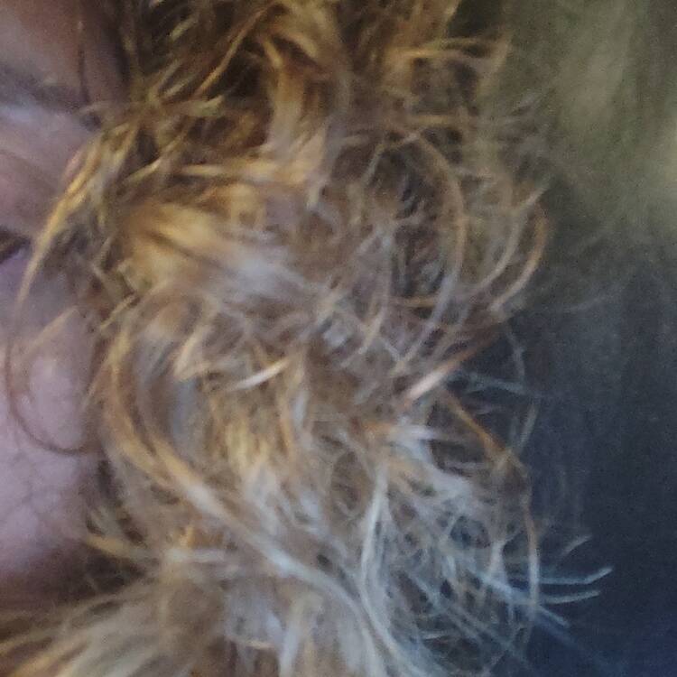 Foto de perfil de Vanesa