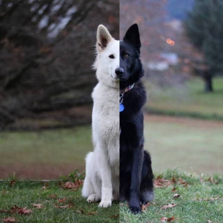 Foto de perfil de topamo