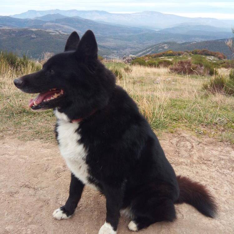 Foto de perfil de Salome