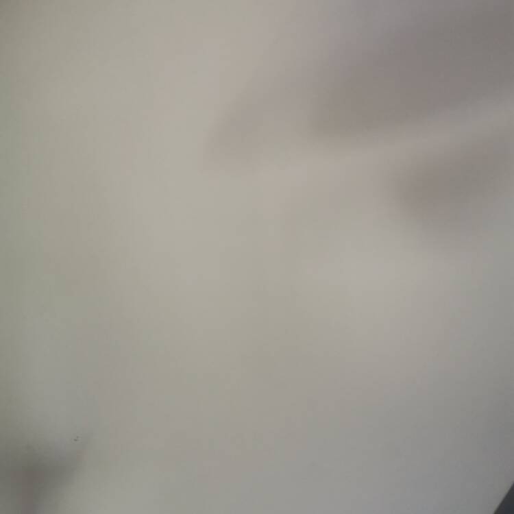 Foto de perfil de Sergio