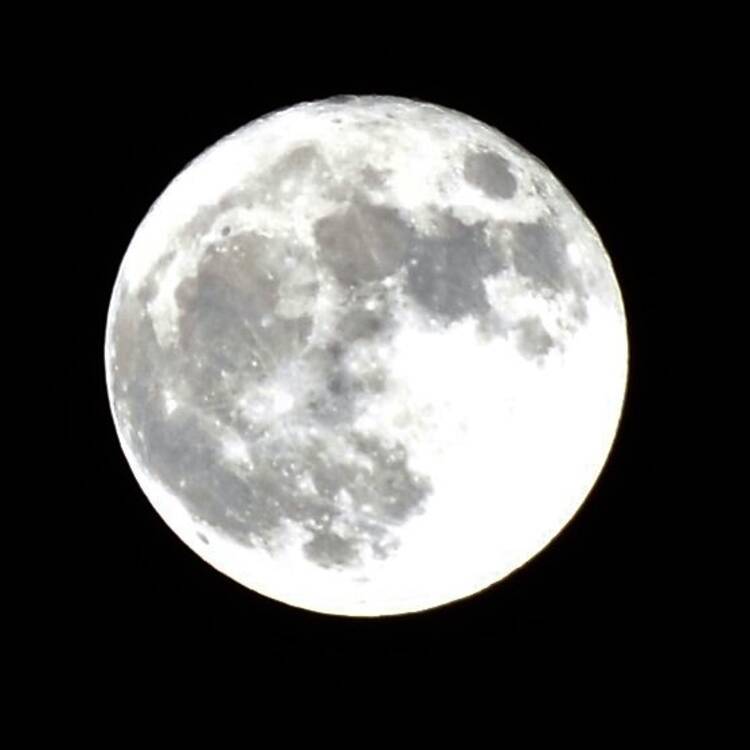 Foto de perfil de Patricia
