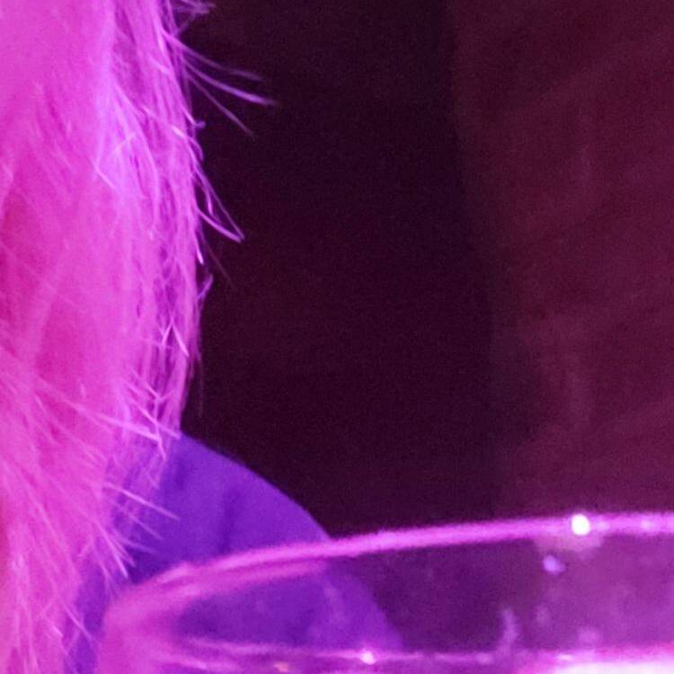 Foto de perfil de Maria