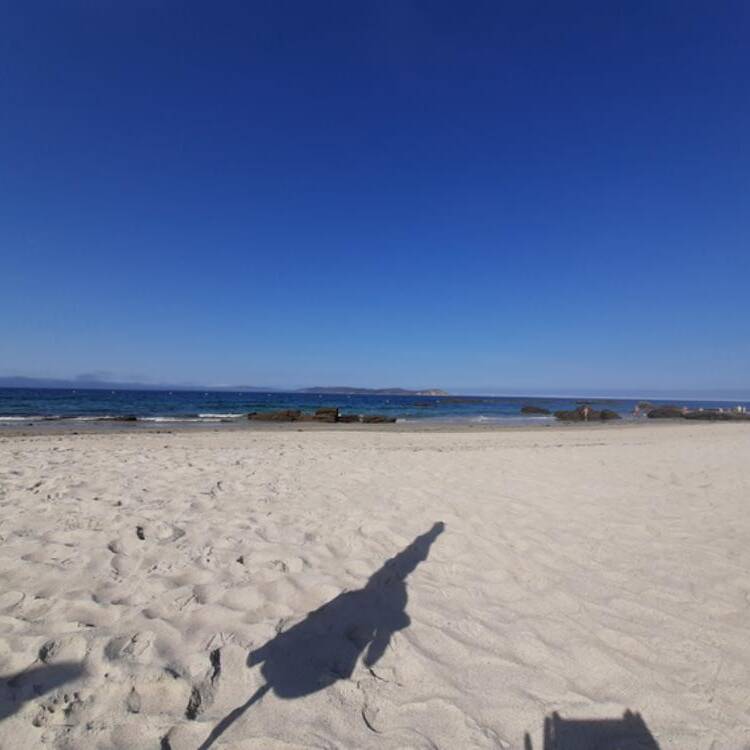 Foto de perfil de Pilar B