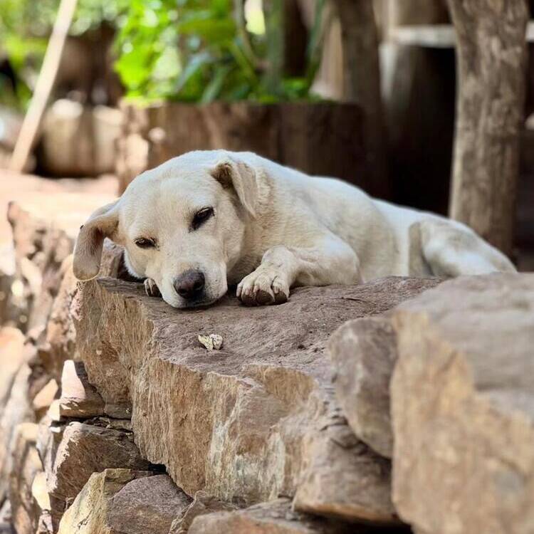 Foto de perfil de ceriseso