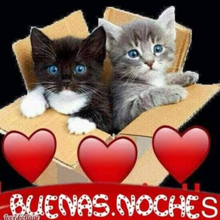 Foto de perfil de Rubia