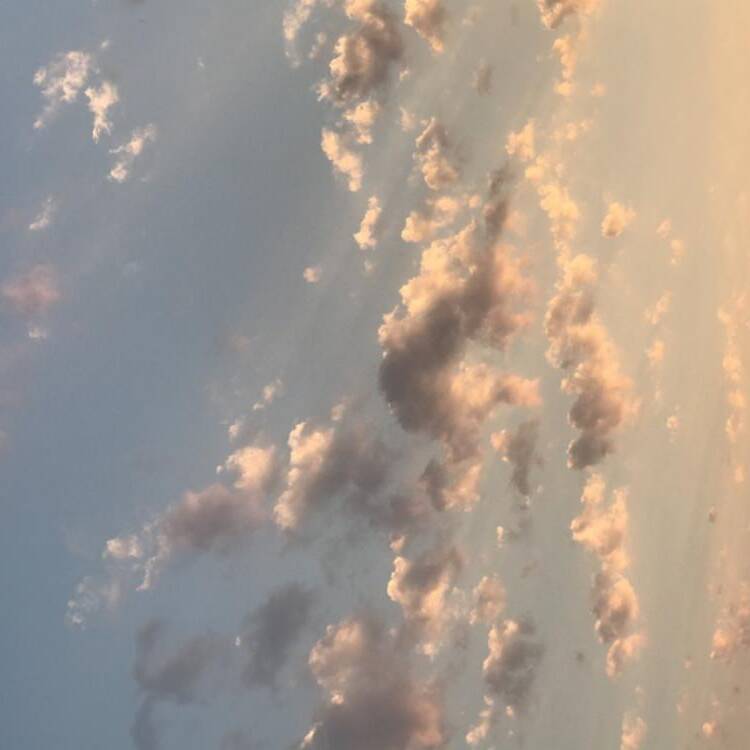 Foto de perfil de Azul