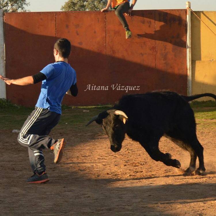 Foto de perfil de Alex