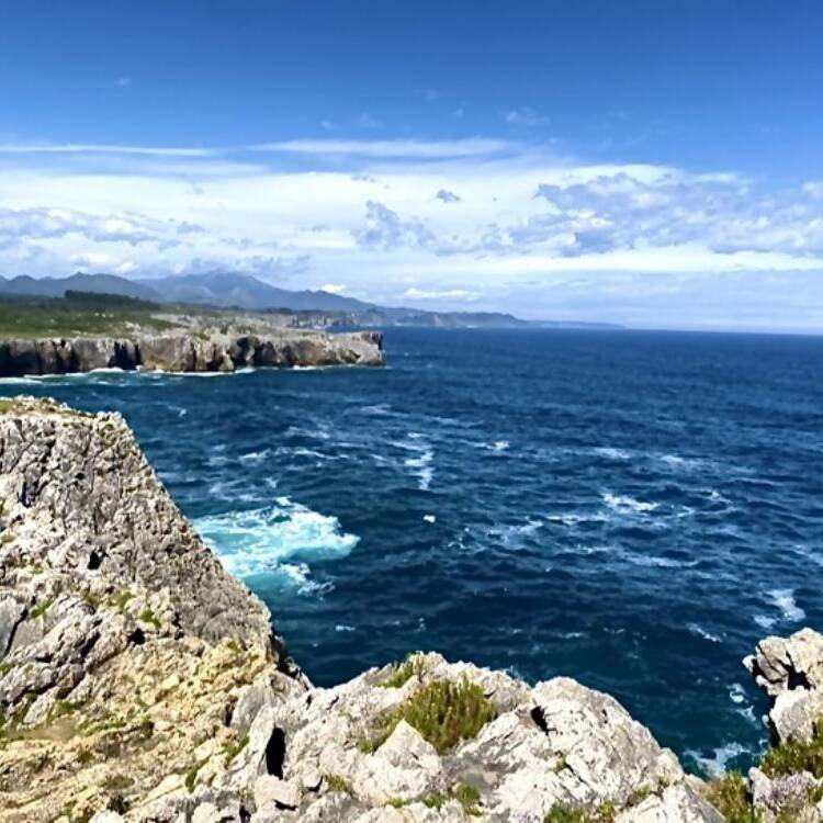 Foto de perfil de Henar