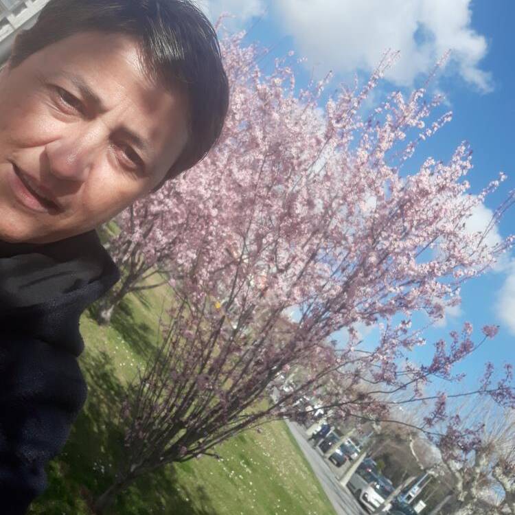 Foto de perfil de Pilar