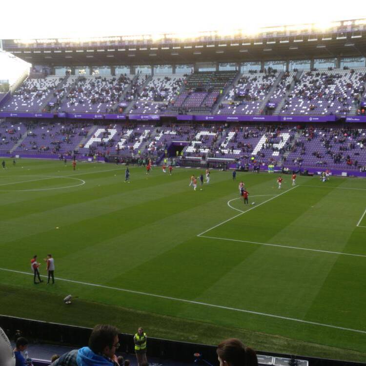 Foto de perfil de Pedro
