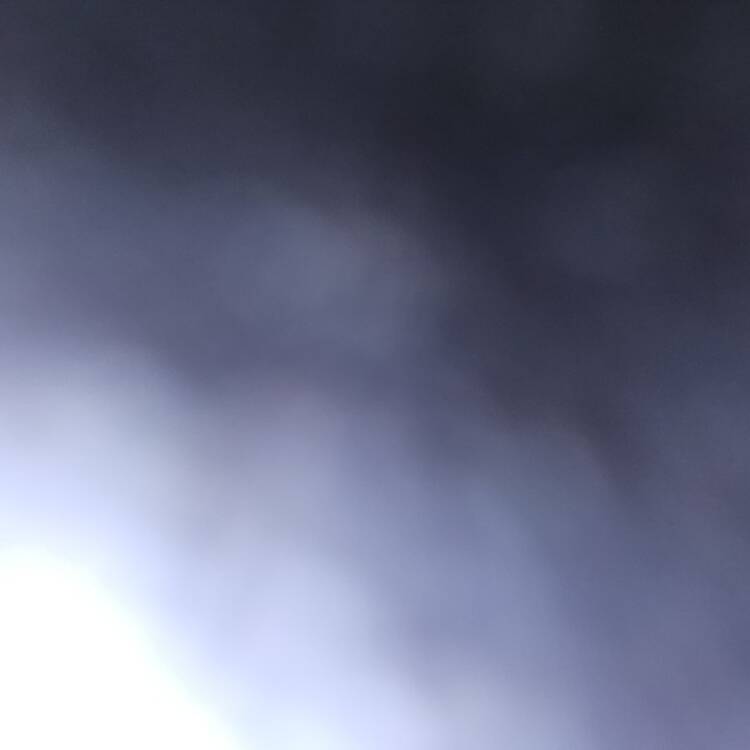 Foto de perfil de Al
