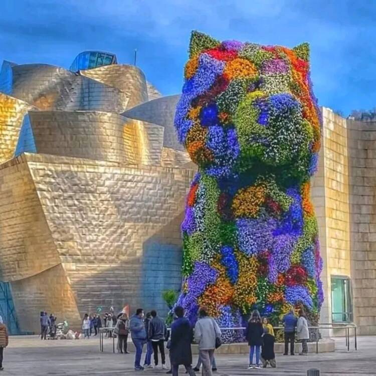 Foto de perfil de Sonia
