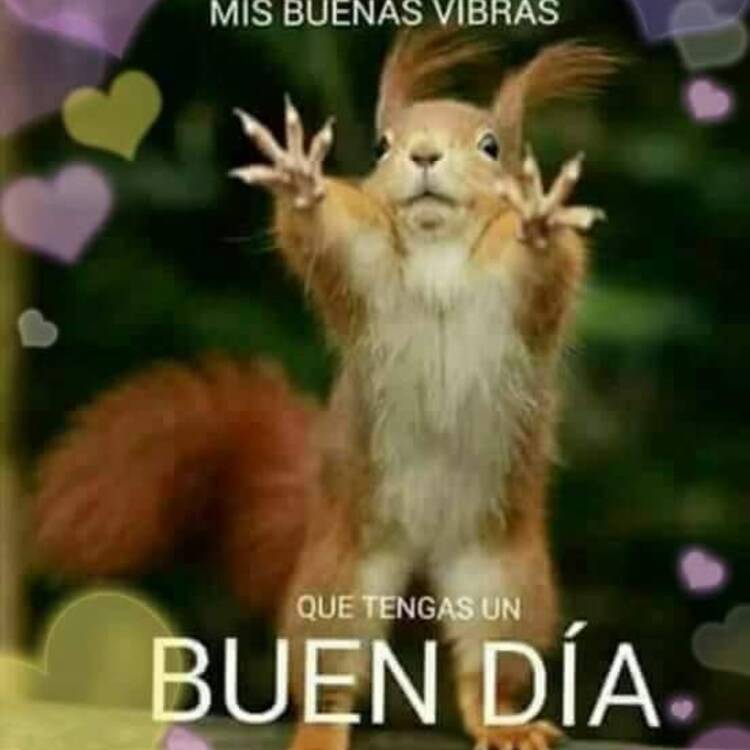 Foto de perfil de Luisito