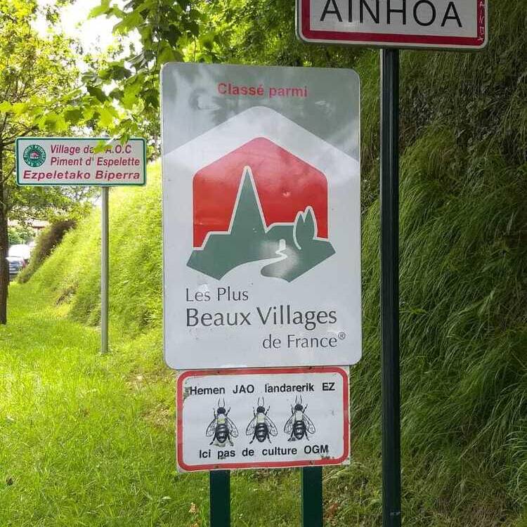 Foto de perfil de Ainhoa