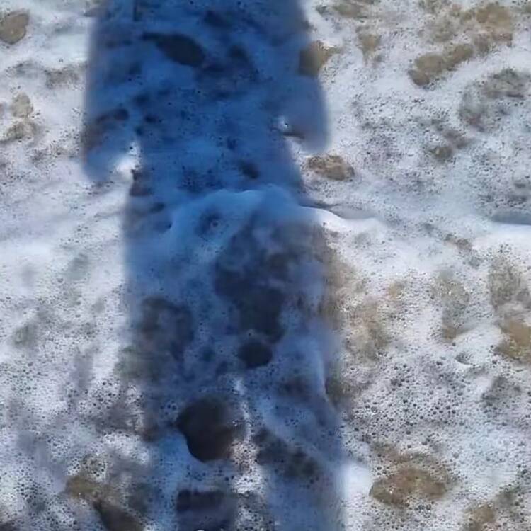 Foto de perfil de Yolanda