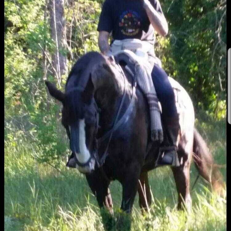 Foto de perfil de carlos81