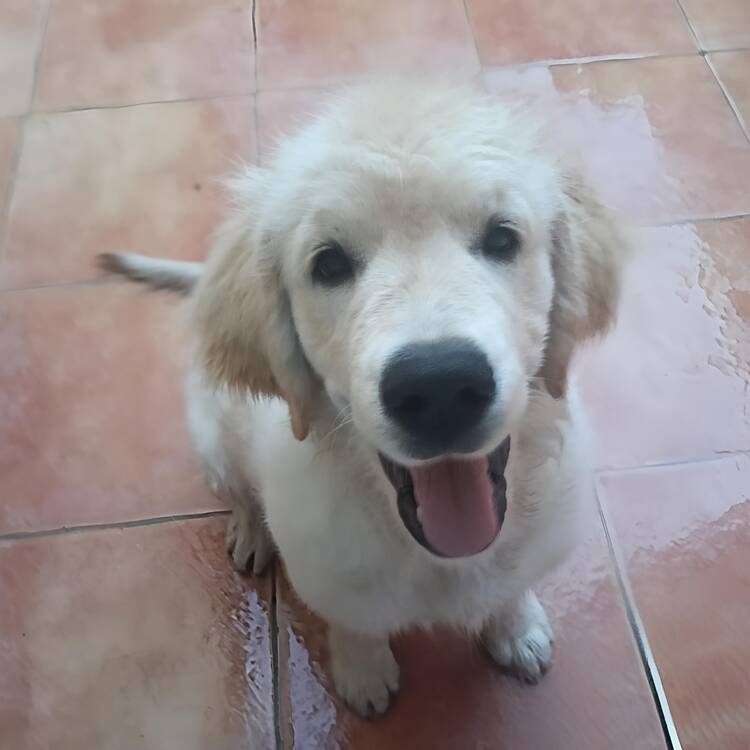 Foto de perfil de MAngeles
