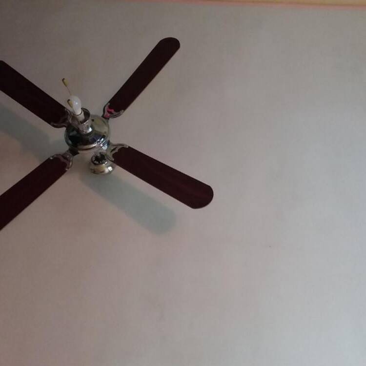 Foto de perfil de Juan