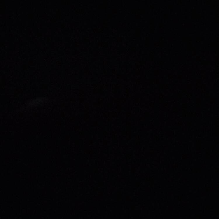 Foto de perfil de Pedro