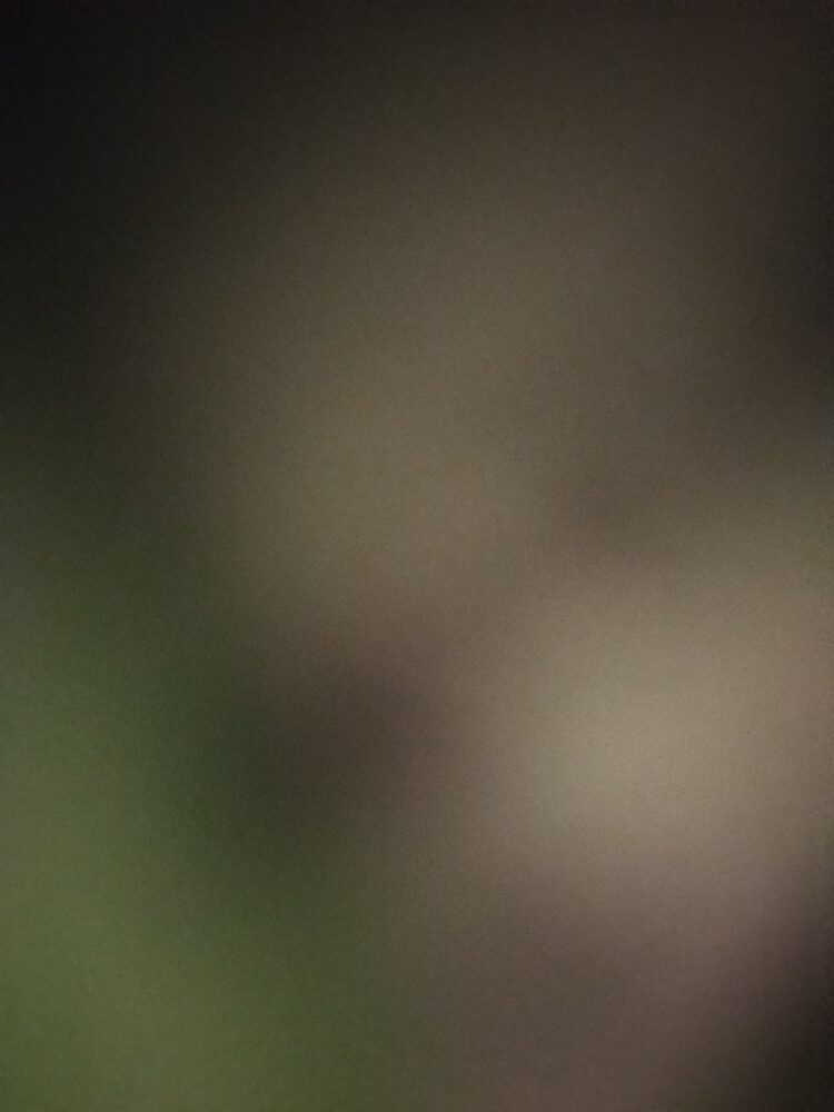 Foto de perfil de Yon