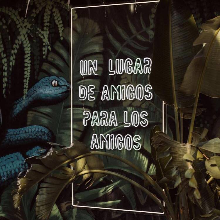 Foto de perfil de Elsa