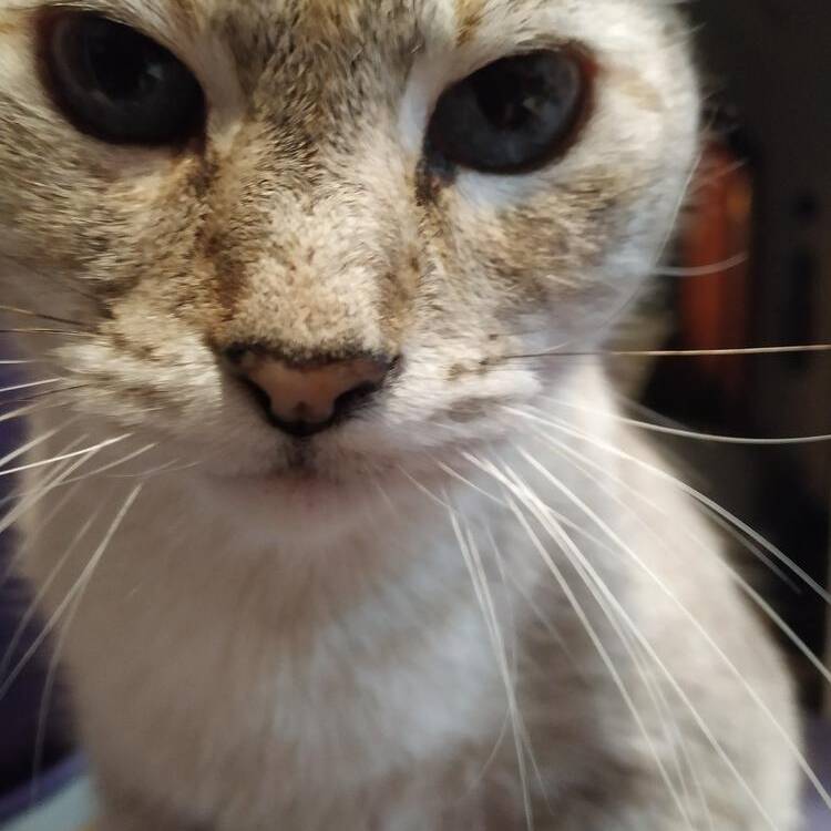 Foto de perfil de jorge